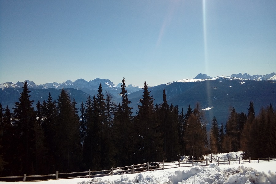 Rodeln auf der Pertingeralm 