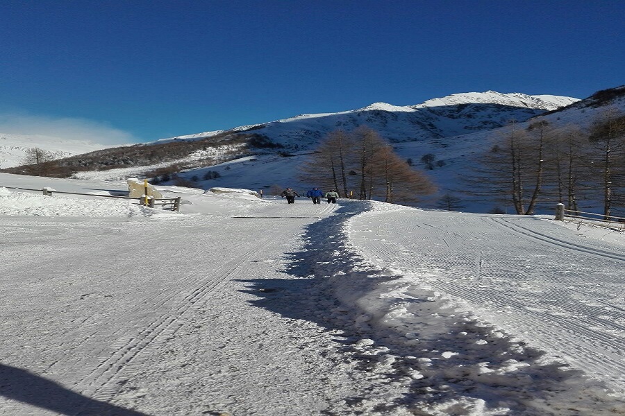 Winterspaziergang im Ahrntal