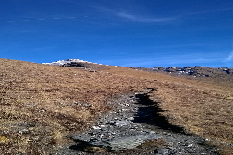 Cima Bianca da urlo